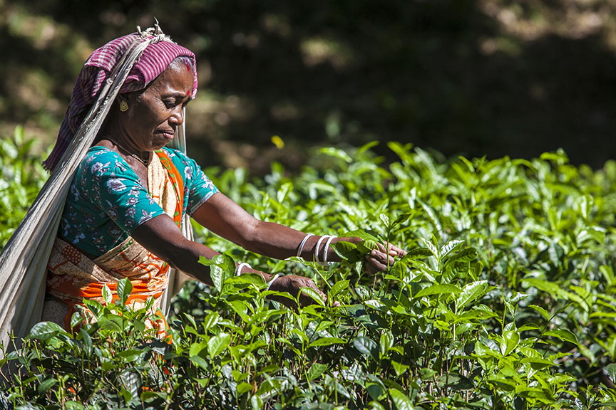 Bangladesh shoot-2013 - Aga Khan Foundation Canada